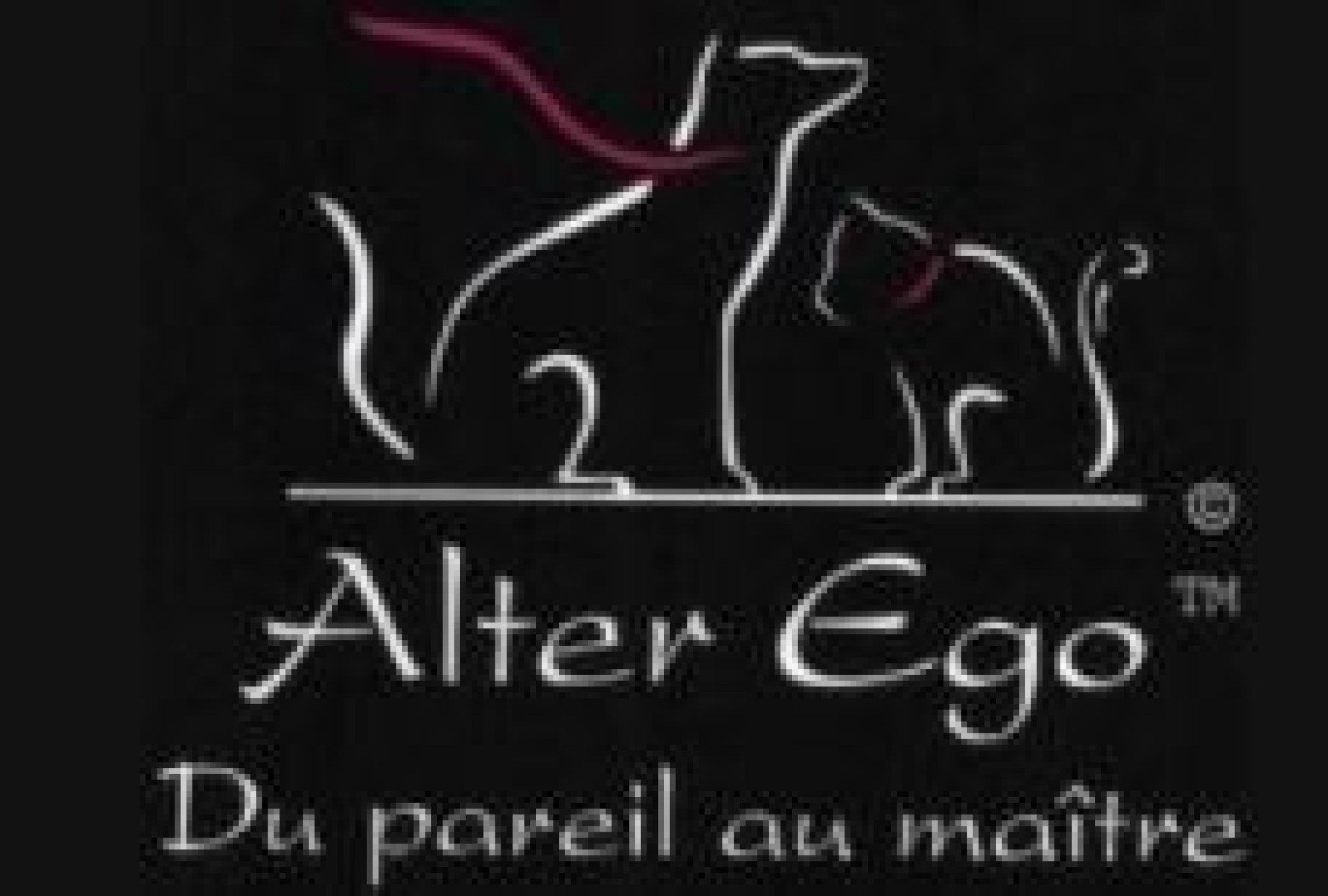 ALTER EGO
